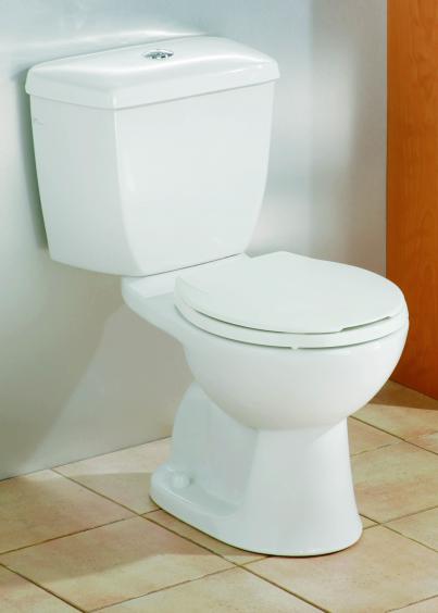 dual flush toilets